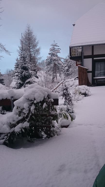Ferienwohnung Hartmann Frankenau Exterior foto